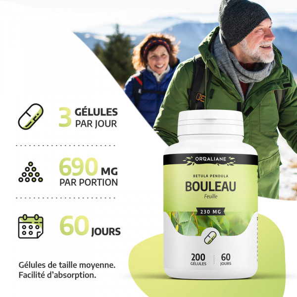 Bouleau - 230 mg - gélules
