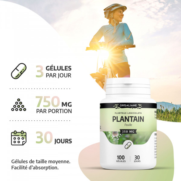 Plantain 250 mg - Gélules
