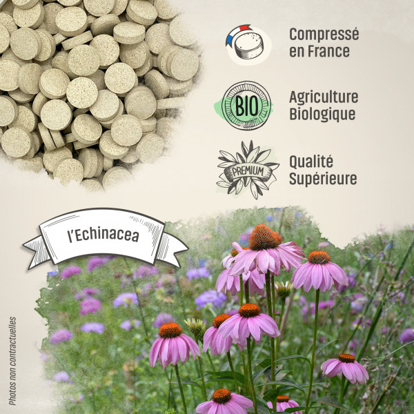 Echinacea Bio - 400 mg - 200 comprimés - Herbes & Plantes