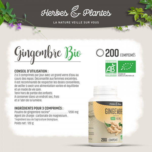 Gingembre Bio - 400 mg - 200 comprimés - H&P
