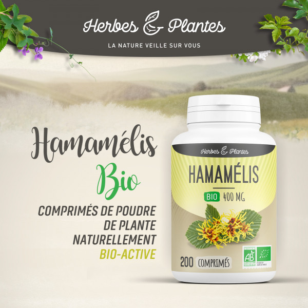 Hamamélis Bio - 400 mg - 200 comprimés - H&P