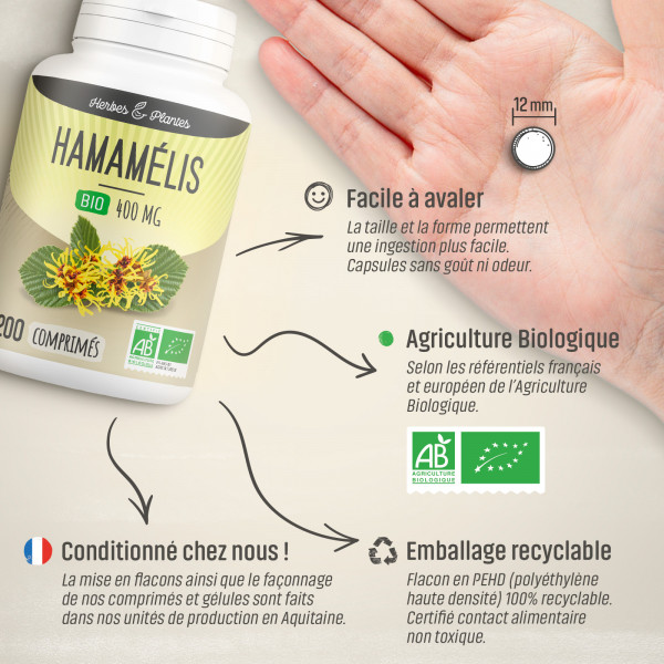 Hamamélis Bio - 400 mg - 200 comprimés - H&P