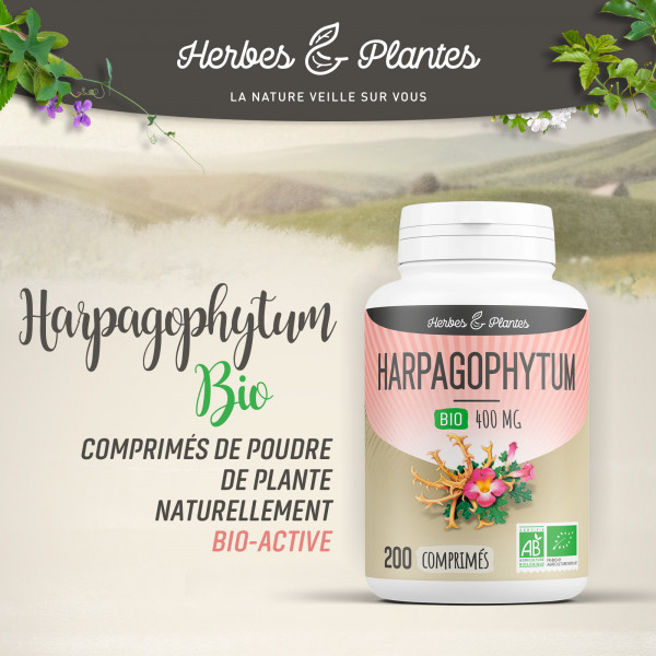 Harpagophytum Bio - 400 mg - 200 comprimés - H&P