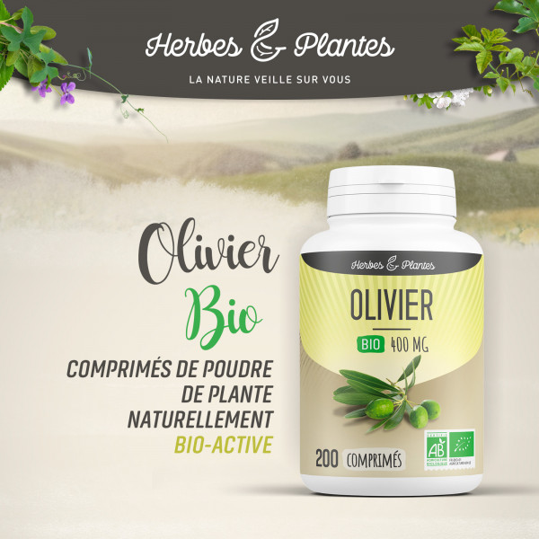 Olivier Bio - 400 mg - 200 comprimés - H&P