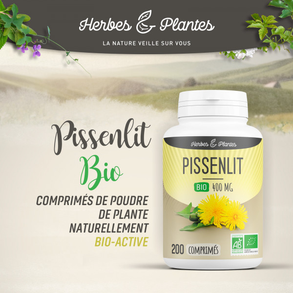 Pissenlit Bio - 400 mg - 200 comprimés - H&P