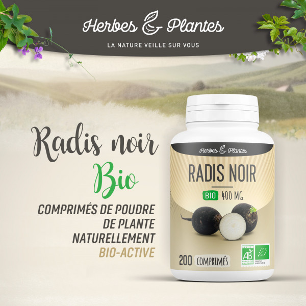 Radis noir Bio - 400 mg - 200 comprimés - H&P