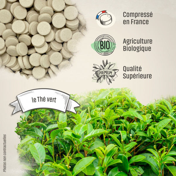 Thé vert extrait Bio - 400 mg - 200 comprimés - H&P
