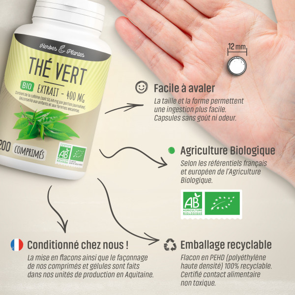 Thé vert extrait Bio - 400 mg - 200 comprimés - H&P