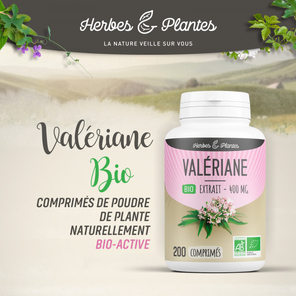 Valériane extrait Bio - 400 mg - 200 comprimés - H&P