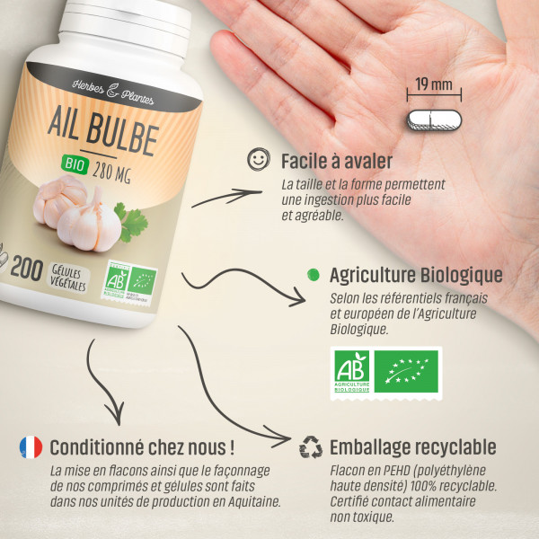 Ail bulbe Bio - 280 mg - Gélules végétales - H&P