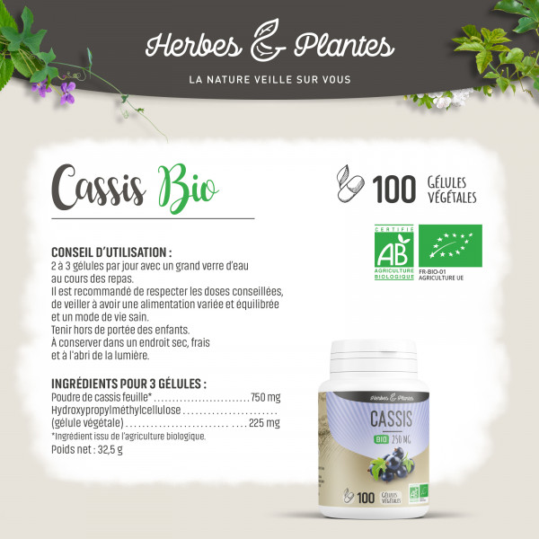 Cassis Bio - 250 mg - Gélules végétales