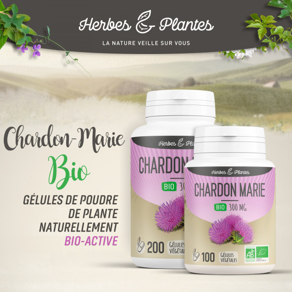 Chardon-Marie Bio - 300 mg - Gélules végétales