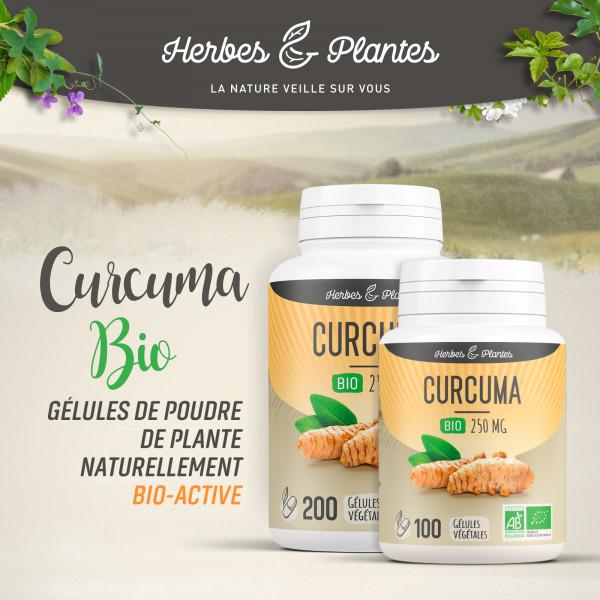 Curcuma Bio - 250 mg - Gélules végétales