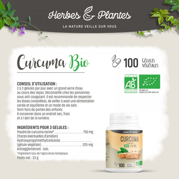 Curcuma Bio - 250 mg - Gélules végétales
