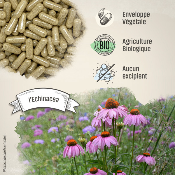 Echinacea Bio - 210 mg - Gélules végétales