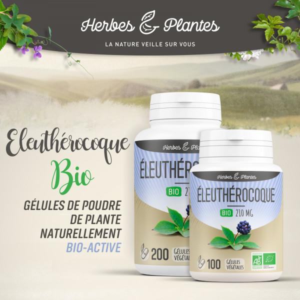 Eleuthérocoque Bio - 210 mg - Gélules végétales
