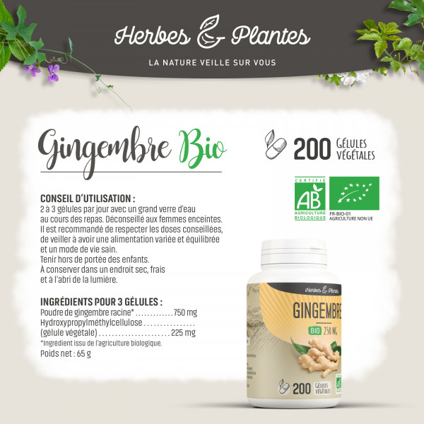 Gingembre Bio - 250 mg - Gélules végétales