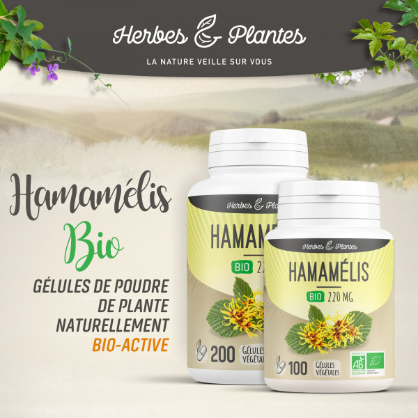 Hamamélis Bio - 220 mg - Gélules végétales