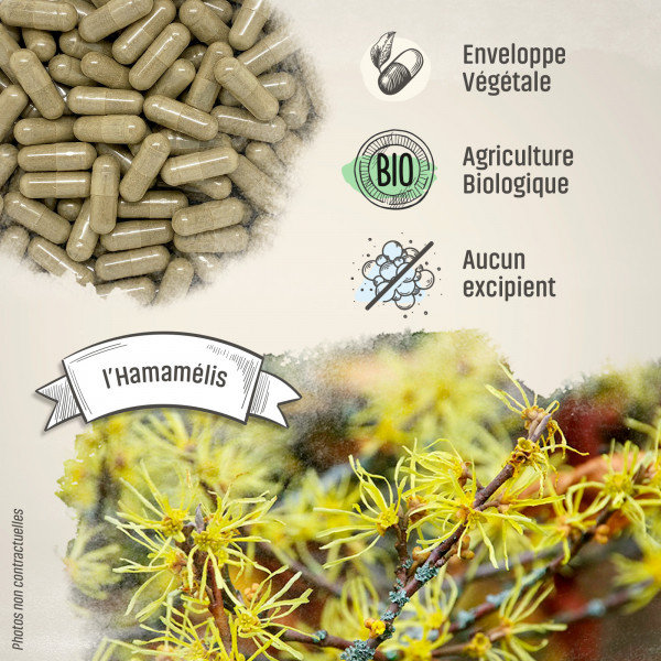 Hamamélis Bio - 220 mg - Gélules végétales