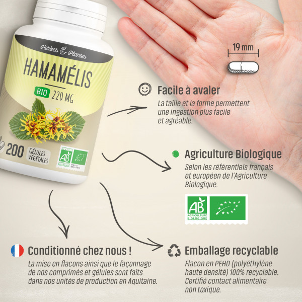 Hamamélis Bio - 220 mg - Gélules végétales