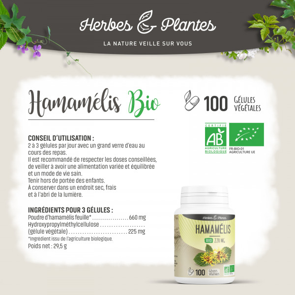 Hamamélis Bio - 220 mg - Gélules végétales