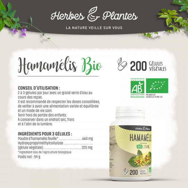 Hamamélis Bio - 220 mg - Gélules végétales