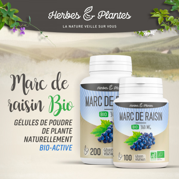 Marc de raisin Bio - 360 mg - Gélules végétales