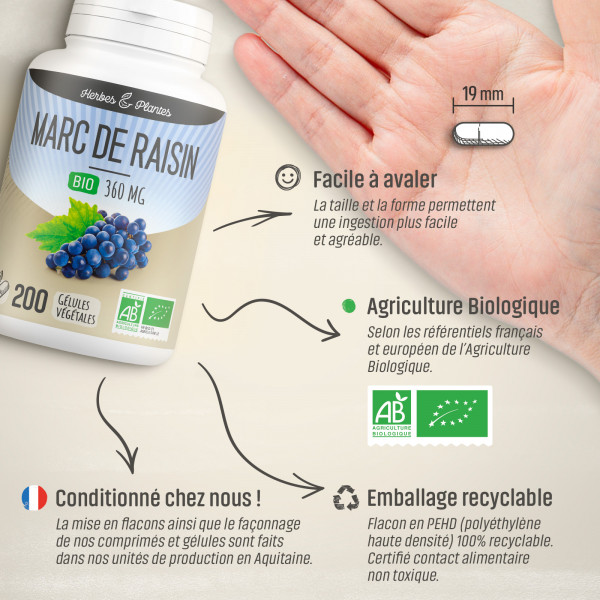 Marc de raisin Bio - 360 mg - Gélules végétales
