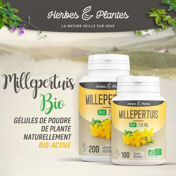 Millepertuis Bio - 250 mg - Gélules végétales