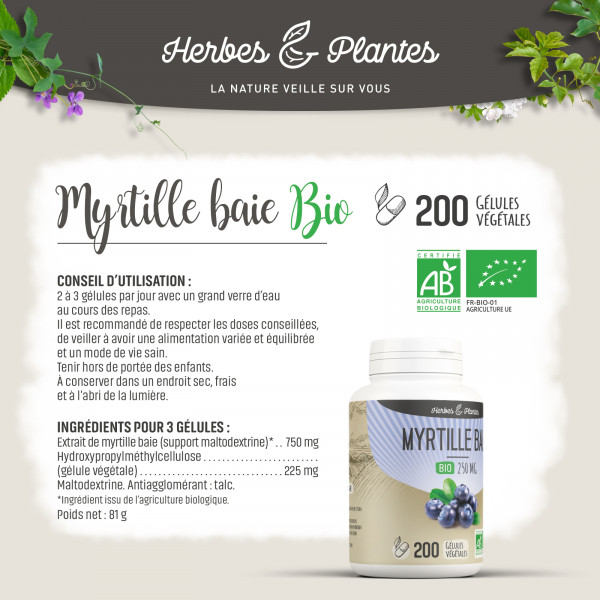 Myrtille baie Bio - 250 mg - Gélules végétales