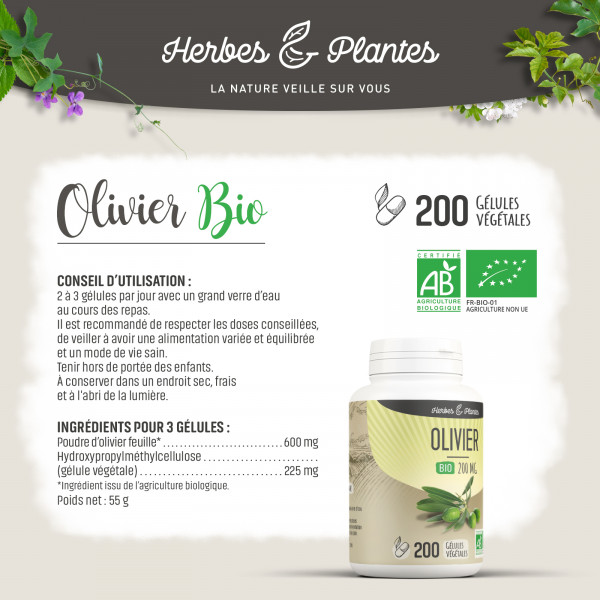 Olivier Bio - 200 mg - Gélules végétales