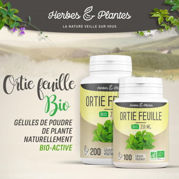 Ortie feuille Bio - 210 mg - Gélules végétales
