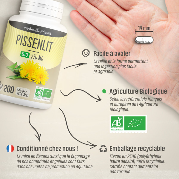 Pissenlit Bio - 270 mg - Gélules végétales