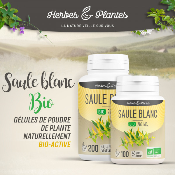 Saule blanc Bio - 200 mg - Gélules végétales