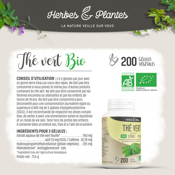 Thé vert Bio - extrait aqueux - 250 mg - Gélules végétales