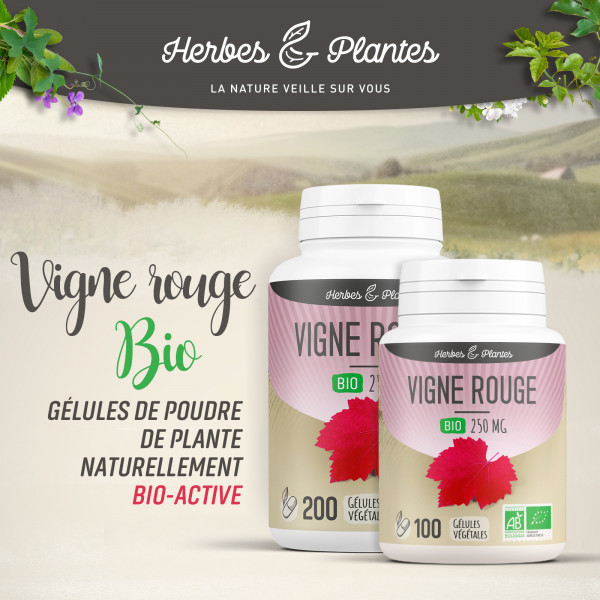 Vigne Rouge Bio - 250 mg - Gélules végétales