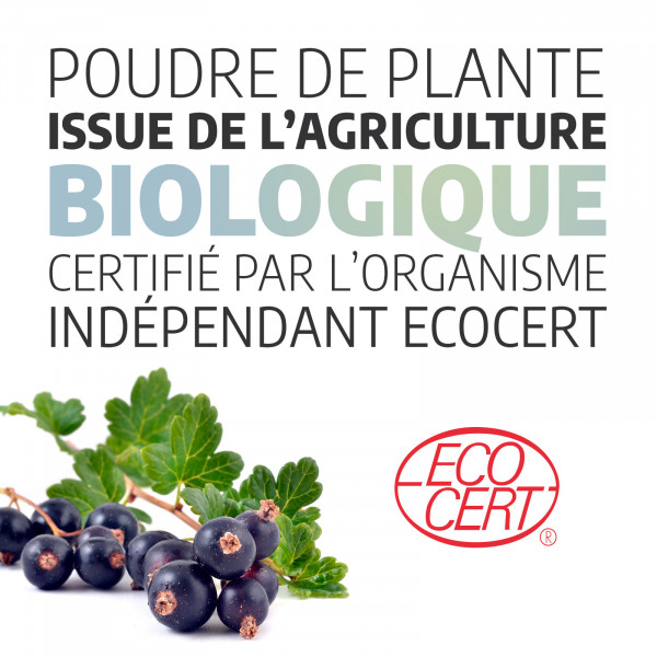 Cassis Ecocert - Gélules