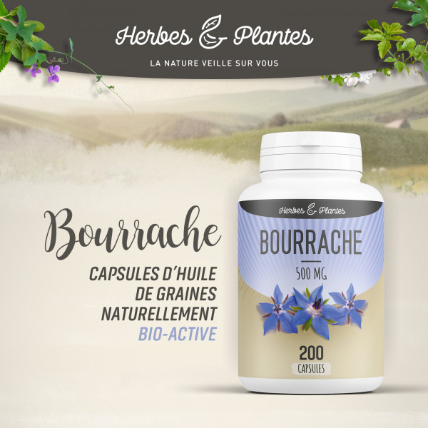 Bourrache - 500 mg - 200 capsules - Herbes & Plantes