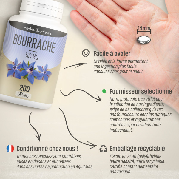 Bourrache - 500 mg - 200 capsules - Herbes & Plantes