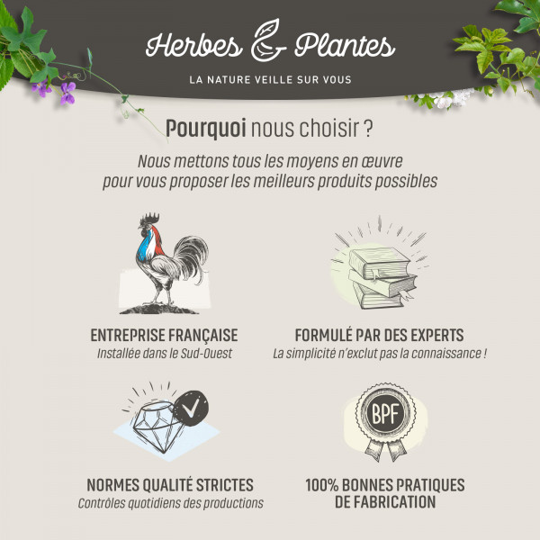 Bourrache - 500 mg - 200 capsules - Herbes & Plantes