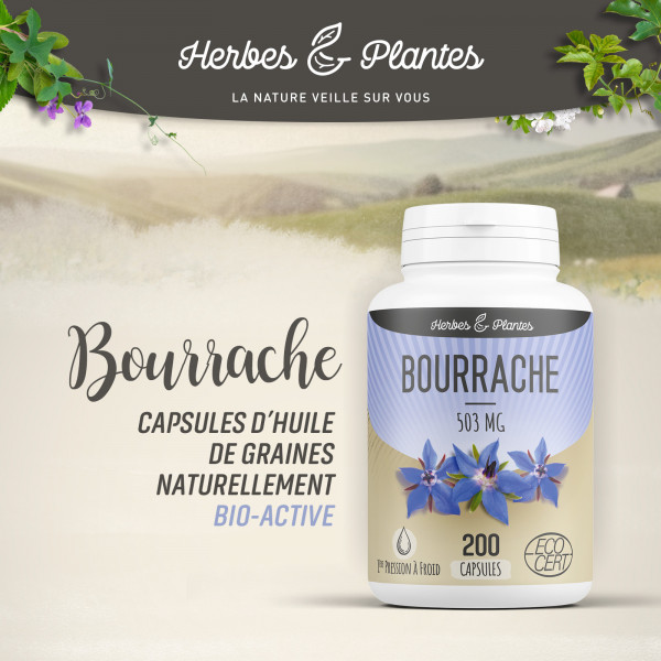 Bourrache Ecocert - 503 mg - 200 capsules