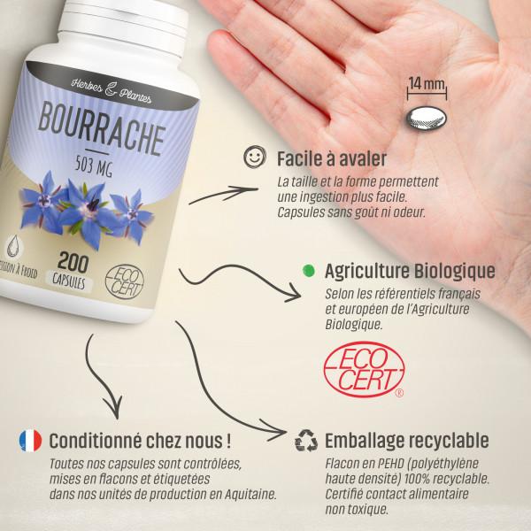 Bourrache Ecocert - 503 mg - 200 capsules