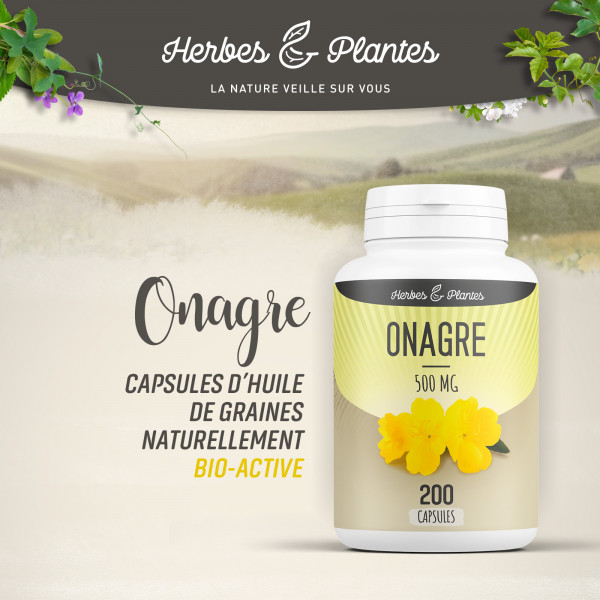 Onagre - 500 mg - 200 capsules - Herbes & Plantes