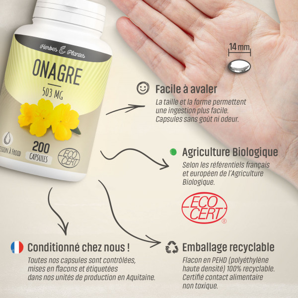 Onagre Ecocert - 503 mg - 200 capsules - Herbes & Plantes