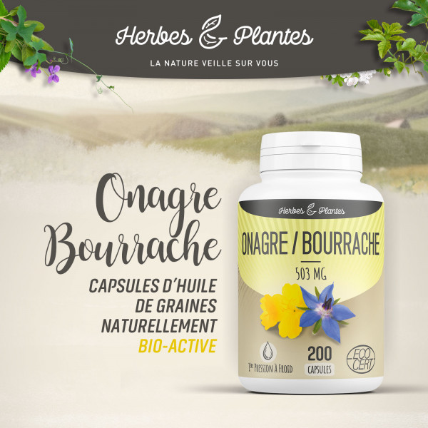 Onagre-Bourrache Ecocert - 503 mg - 200 capsules - Herbes & Plantes