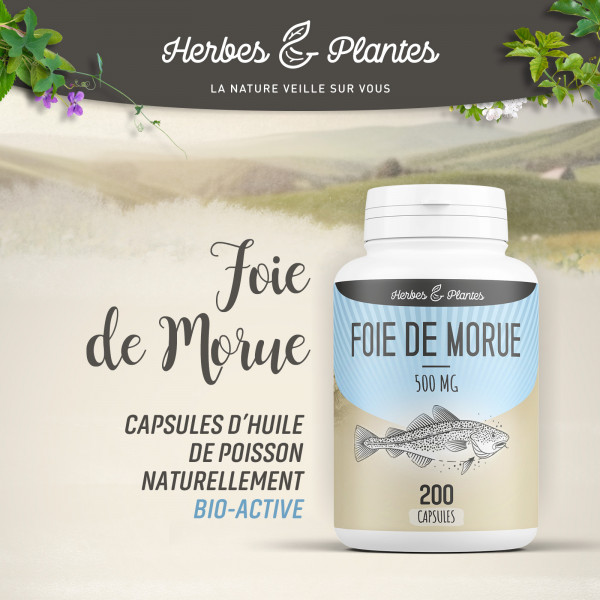 Foie de Morue - 500 mg - 200 capsules - Herbes & Plantes