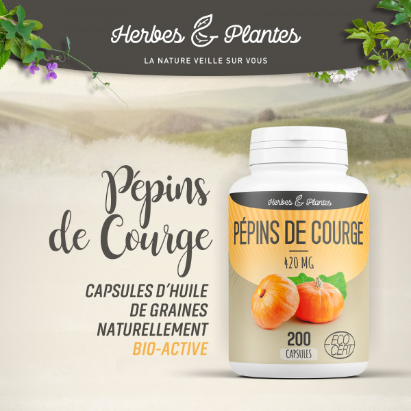 Pépins de Courge Ecocert - 420 mg - 200 capsules - Herbes & PLantes