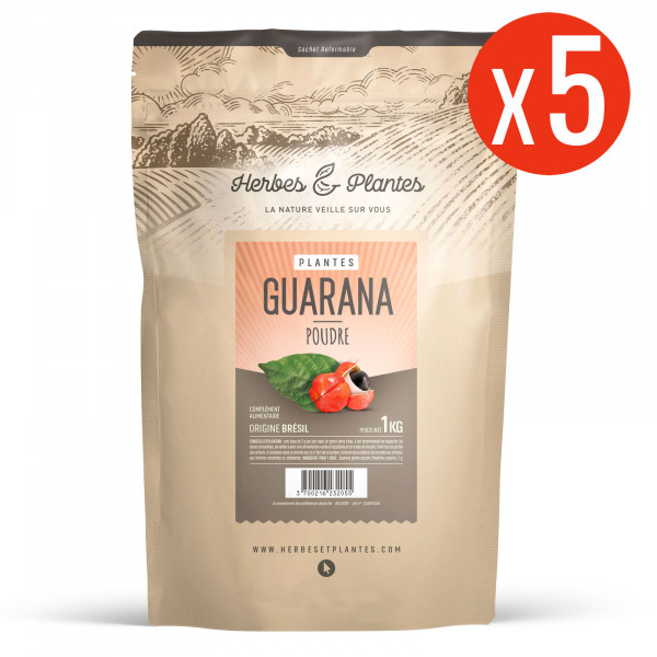 GUARANA POUDRE