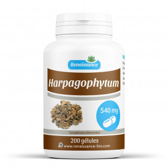 L'harpagophytum procumbens est un complément alimentaire naturel