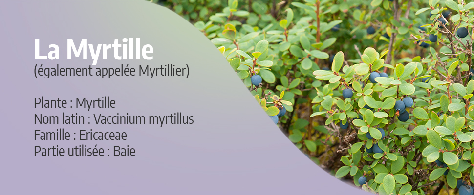 Myrtille BIO 250g - Pourdebon